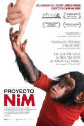 Proyecto Nim (2011)