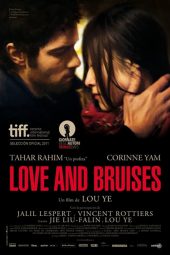 Póster Love and Bruises (2011)