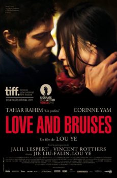 Póster Love and Bruises (2011)