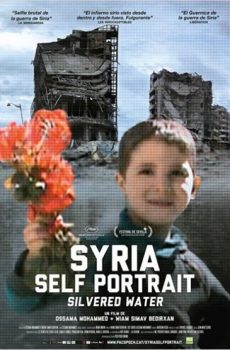 Syria Self-Portrait, Silvered Water (2014)