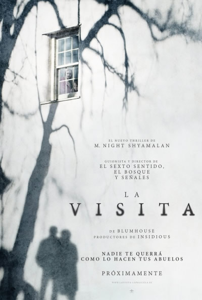 poster-la-visita