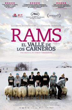 Crítica de Rams (El valle de los carneros)