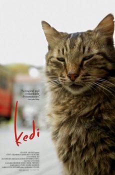 Kedi (Gatos de Estambul) (2016)