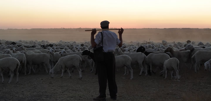 Estreno de la película El pastor en cines de España