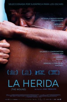 La herida (The Wound) (2017)
