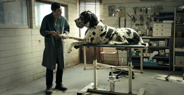 Dogman, cine italiano de estreno el 9 de noviembre