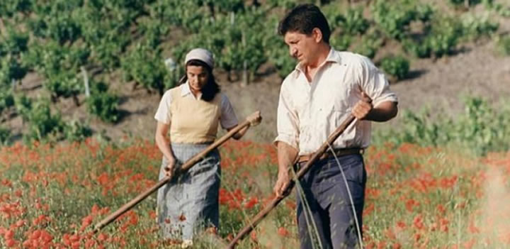 Siempre Xonxa (Sempre Xonxa, Chano Piñeiro, 1989) - Mejores películas gallegas