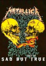 Metallica: Sad But True