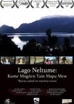 Lago Neltume: Kume Mogñen Tain Mapu Mew 
