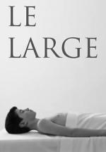 Françoise Hardy: Le Large