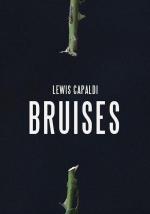Lewis Capaldi: Bruises