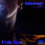 Little Simz: Introvert