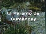 El páramo de Cumanday