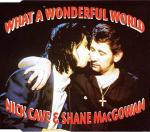 Nick Cave & Shane MacGowan: What A Wonderful World