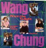 Wang Chung: Fire in the Twilight