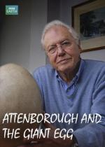 Attenborough y el huevo gigante