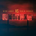 Nick Jonas & Robin Schulz: Right Now