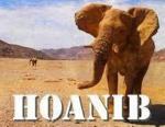 Hoanib: Los secretos de los elefantes del desierto