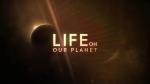 La vida en nuestro planeta