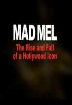 Mel Gibson: Ascenso y caída de un icono de Hollywood