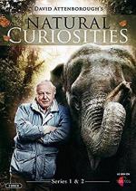 Curiosidades de la naturaleza con David Attenborough