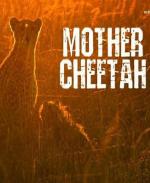 La madre guepardo