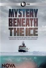 Mystery Beneath the Ice