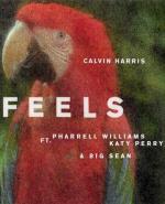 Calvin Harris: Feels