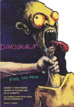 Dinosaur Jr.: Feel the Pain