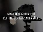 Mission Birkhuhn: Die Rettung der tanzenden Vögel 