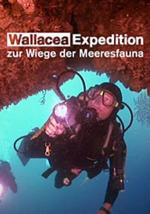 Expedición a Wallacea: La cuna de la fauna marina