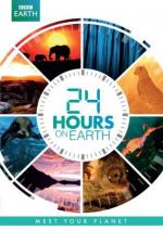 24 horas en el planeta tierra