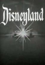 El mágico mundo de Disney