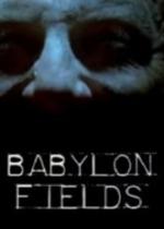 Babylon Fields