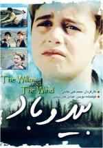 Willow and Wind 
