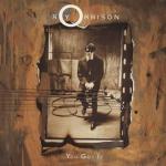 Roy Orbison: You Got It