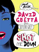 David Guetta feat. Skylar Grey: Shot Me Down