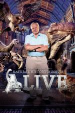 El museo de Historia Natural cobra vida con David Attenborough