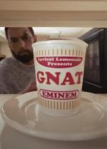 Eminem: GNAT