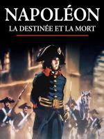 Napoleón: Ascenso y caída