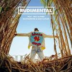 Rudimental feat Jess Glynne, Macklemore & Dan Caplen: These Days