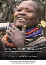 A Wife Among Wives 