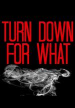 DJ Snake & Lil Jon: Turn Down for What