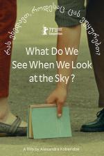 ¿Qué vemos cuando miramos al cielo? 