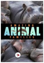 Familias animales asombrosas