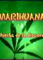 Marihuana, la hierba de la discordia