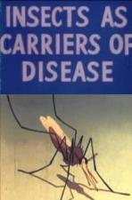 Health for the Americas: Insects as Carriers of Disease