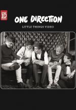 One Direction: Little Things