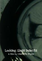 Looking Glass Insects