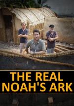Reconstruyendo el Arca de Noé